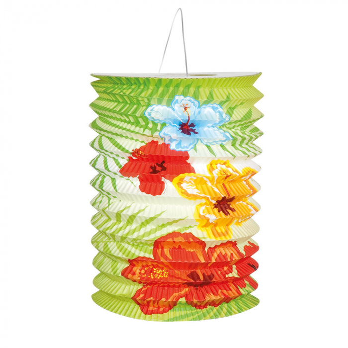 Hibiscus Lampion - 2 stuks - 16 cm