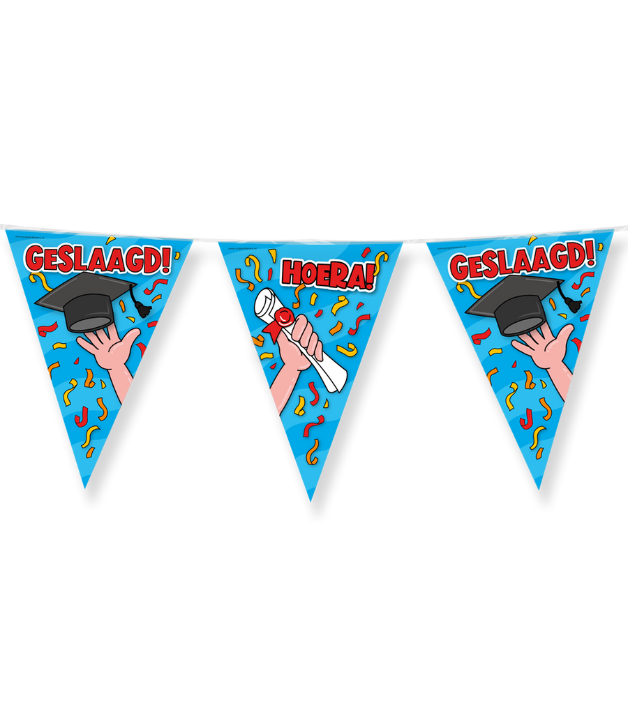 Geslaagd Vlaggenlijn / slinger - 10 meter - school cartoon vlaggetjes