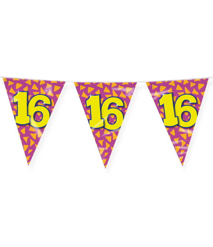 16 jaar Vlaggenlijn / slinger - 10 meter - Happy vlaggetjes