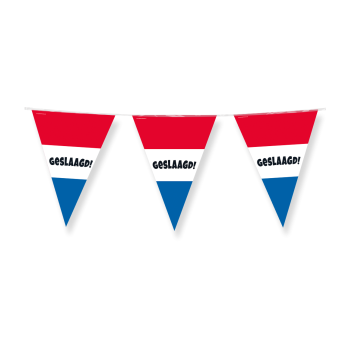 Geslaagd Vlaggenlijn / slinger - 10 meter vlaggetjes