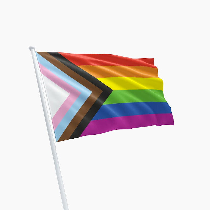 Progress vlag - 150 x 90 cm