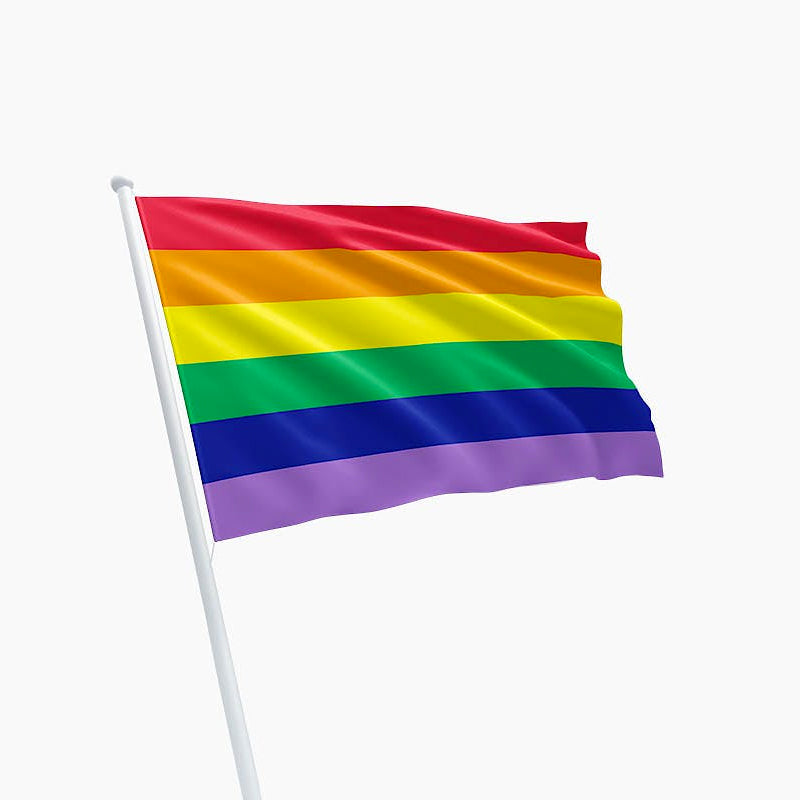 Regenboog vlag - 150 x 90 cm
