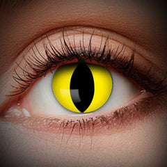 Collection image for: Gekleurde lenzen