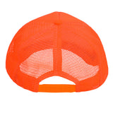 Pet Neon oranje
