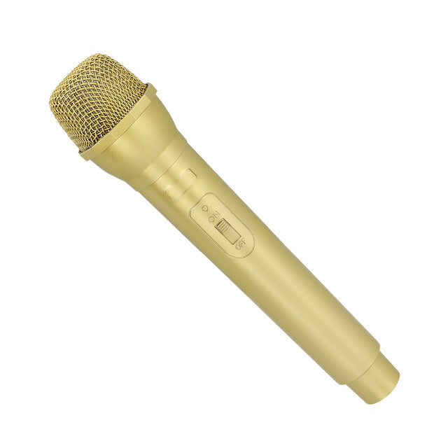 Party nep microfoon - goud