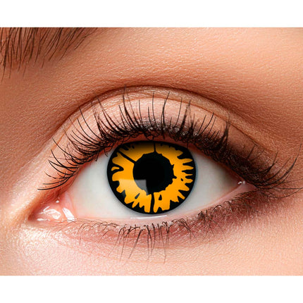 Twilight Halloween lenzen