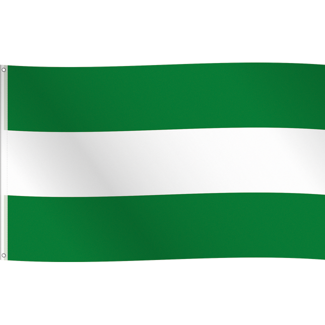 Vlag Rotterdam - 150 x 90 cm