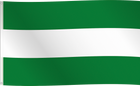 Vlag Rotterdam - 150 x 90 cm