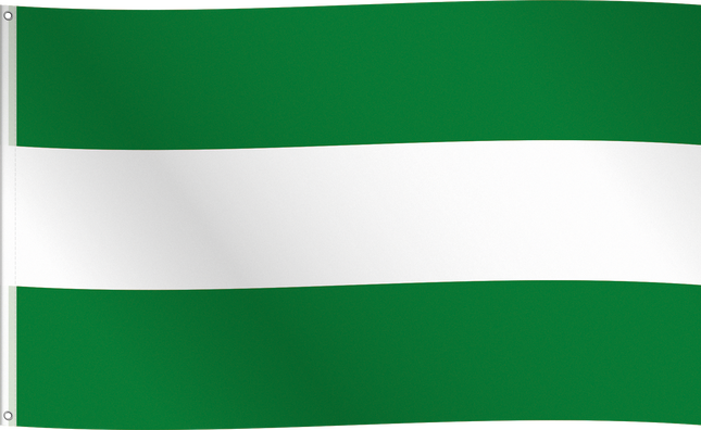 Vlag Rotterdam - 150 x 90 cm