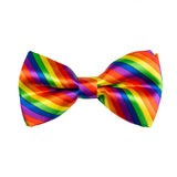 Regenboog Vlinderdas