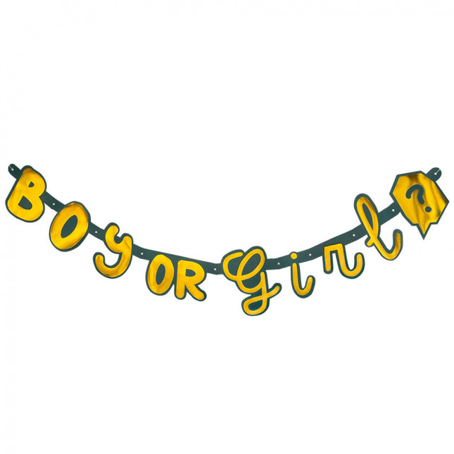 Kartonnen letterslinger - 130 cm - Boy or Girl