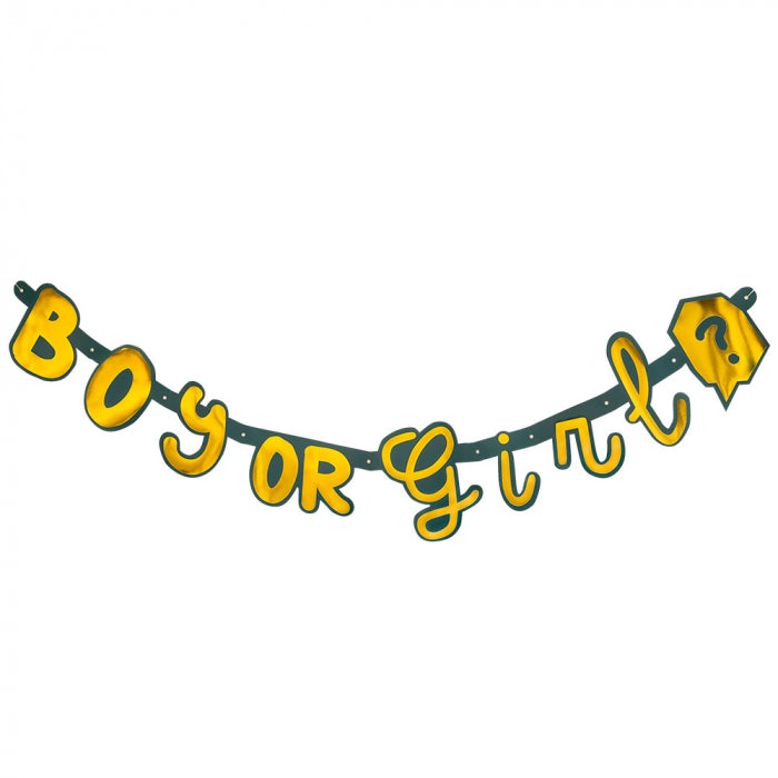 Kartonnen letterslinger - 130 cm - Boy or Girl