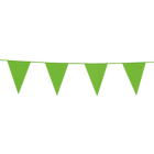 Vlaggenlijn - 10 meter - licht groen