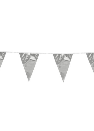 Bunting - 10 meters - silver metallic