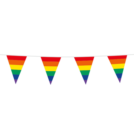 Vlaggenlijn - 10 meter - regenboog