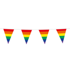 Vlaggenlijn - 10 meter - regenboog