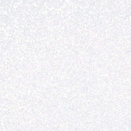Vlaggenlijn - 6 meter - 20 x 30 cm - glitter wit