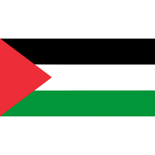 Vlag Palestina - 150 x 90 cm