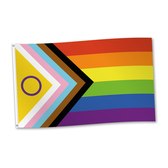 Intersekse Progress vlag - 150 x 90 cm