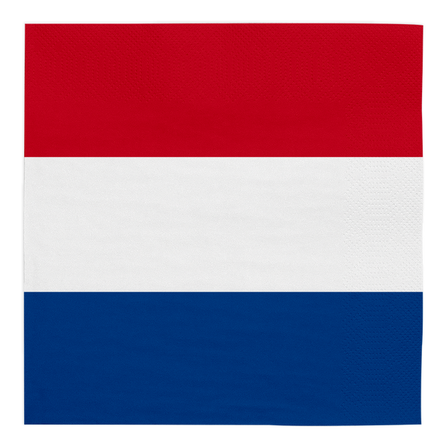 Nederland servetten - 20 stuks