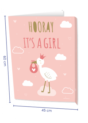 Newborn baby girl Window sign - 60 x 45 cm