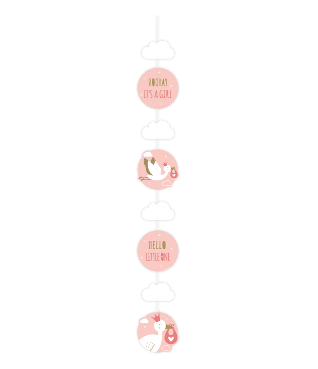 Newborn baby girl Slinger