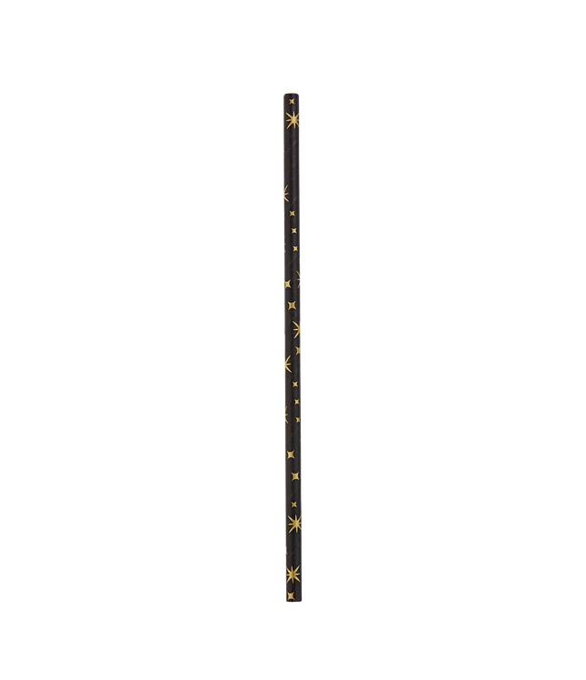 Papieren Rietjes - 8 stuks - zwart en goud