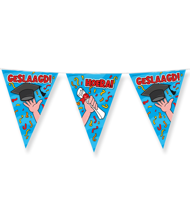 Geslaagd Vlaggenlijn / slinger - 10 meter - school cartoon vlaggetjes