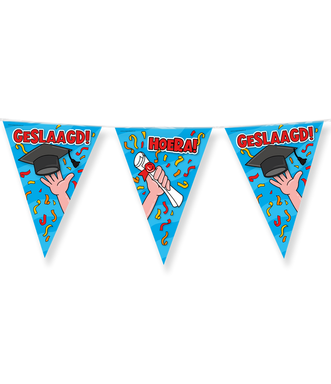 Geslaagd Vlaggenlijn - 10 meter - school cartoon