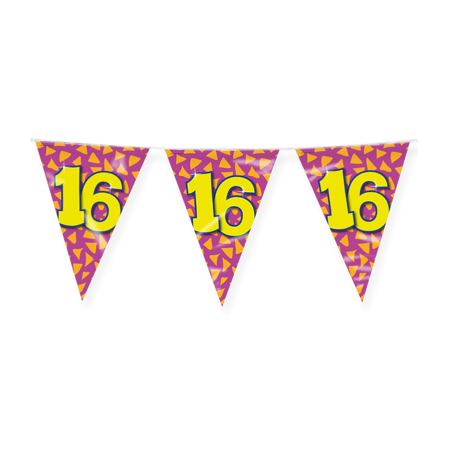 16 jaar Vlaggenlijn - 10 meter - Happy