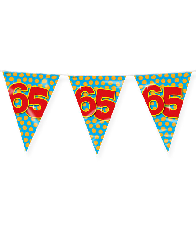65 jaar Vlaggenlijn / slinger - 10 meter - Happy vlaggetjes