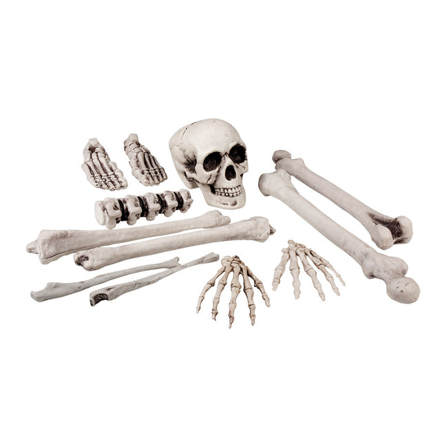 Halloween Skelet Set (12-delig) – Doodshoofd en Botten decoratie