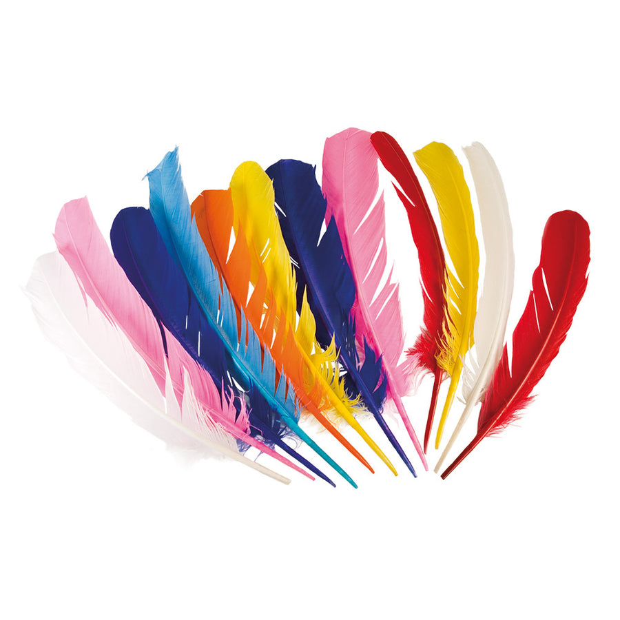 Boland set 12 veren 7 kleuren (30 cm)