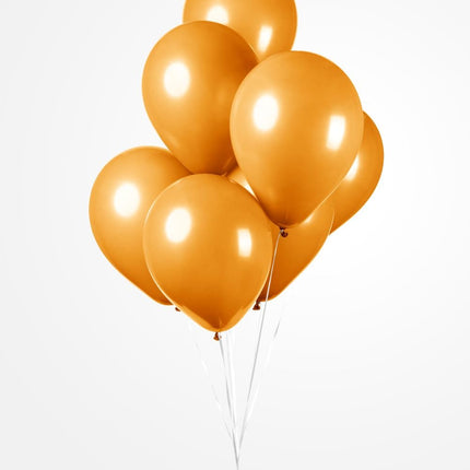 Ballonnen - 10 stuks - 30 cm - oranje