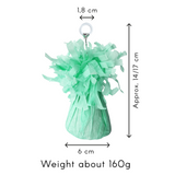 Folie ballongewicht - pastel groen