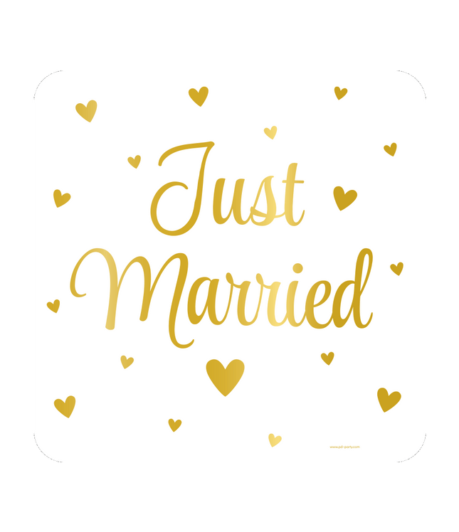 Huldeschild Just Married - 50 x 50 cm