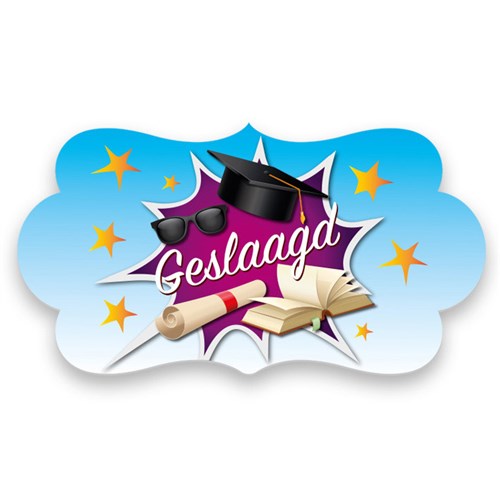 Geslaagd Huldebord - 42 x 22 cm - paars/oranje/wit