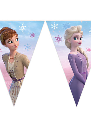 Frozen 2 Wind Spirit Paper Bunting - 2.3 meters