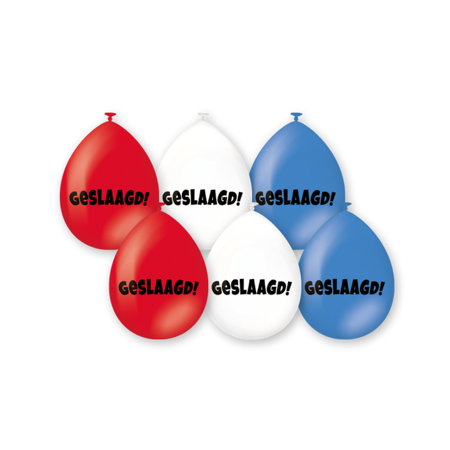 Geslaagd Ballonnen - 6 stuks