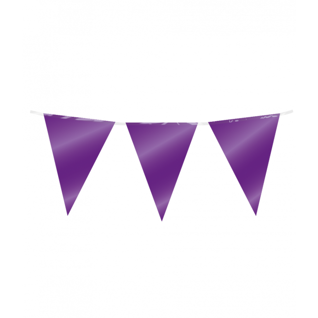Vlaggenlijn - 10 meter - paars metallic