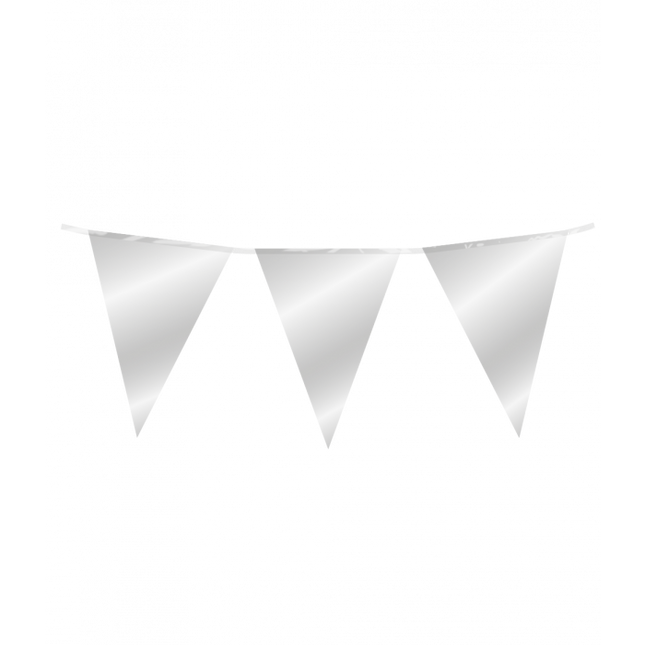 Vlaggenlijn - 10 meter - zilver metallic