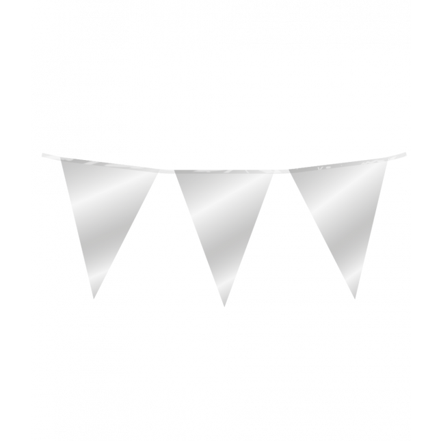 Vlaggenlijn - 10 meter - zilver metallic