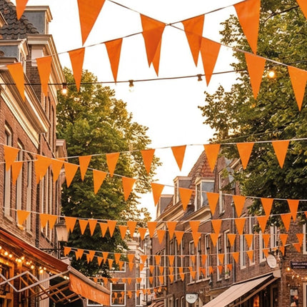 Vlaggenlijn / slinger - 10 meter - oranje vlaggetjes