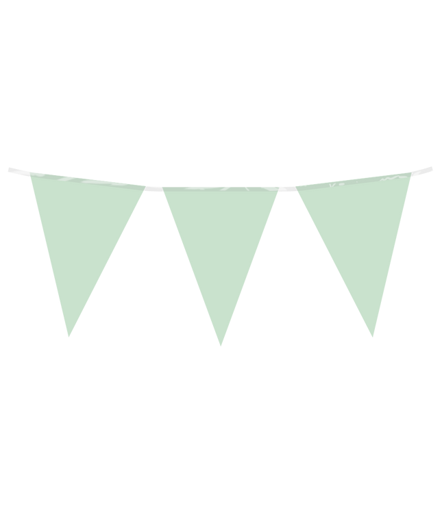 Vlaggenlijn - 10 meter - pastel groen