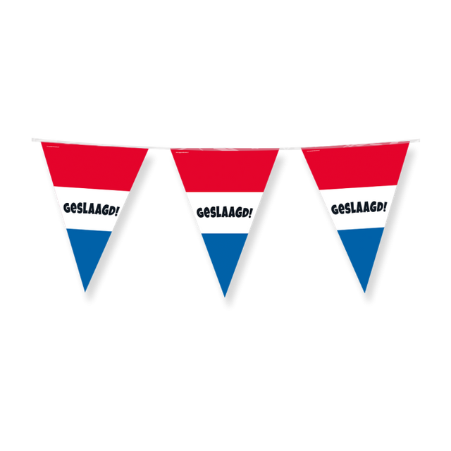 Geslaagd Vlaggenlijn / slinger - 10 meter vlaggetjes