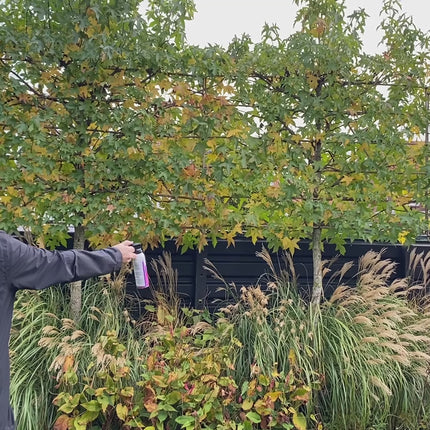 Brandblusser gender reveal roze