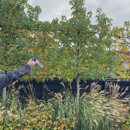 Brandblusser gender reveal blauw