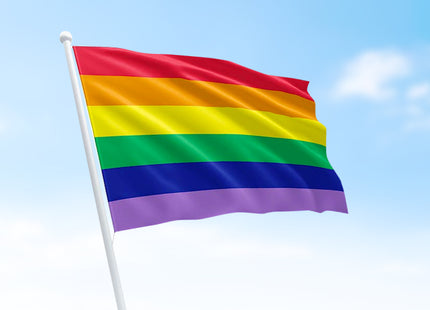 Regenboog vlag - 150 x 90 cm