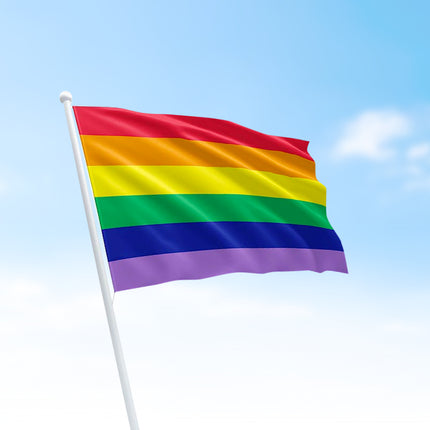 Regenboog vlag - 150 x 90 cm