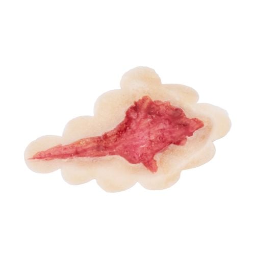 Grimas Latex Prosthetic Wounds - Open Wond 1 - Nepwond